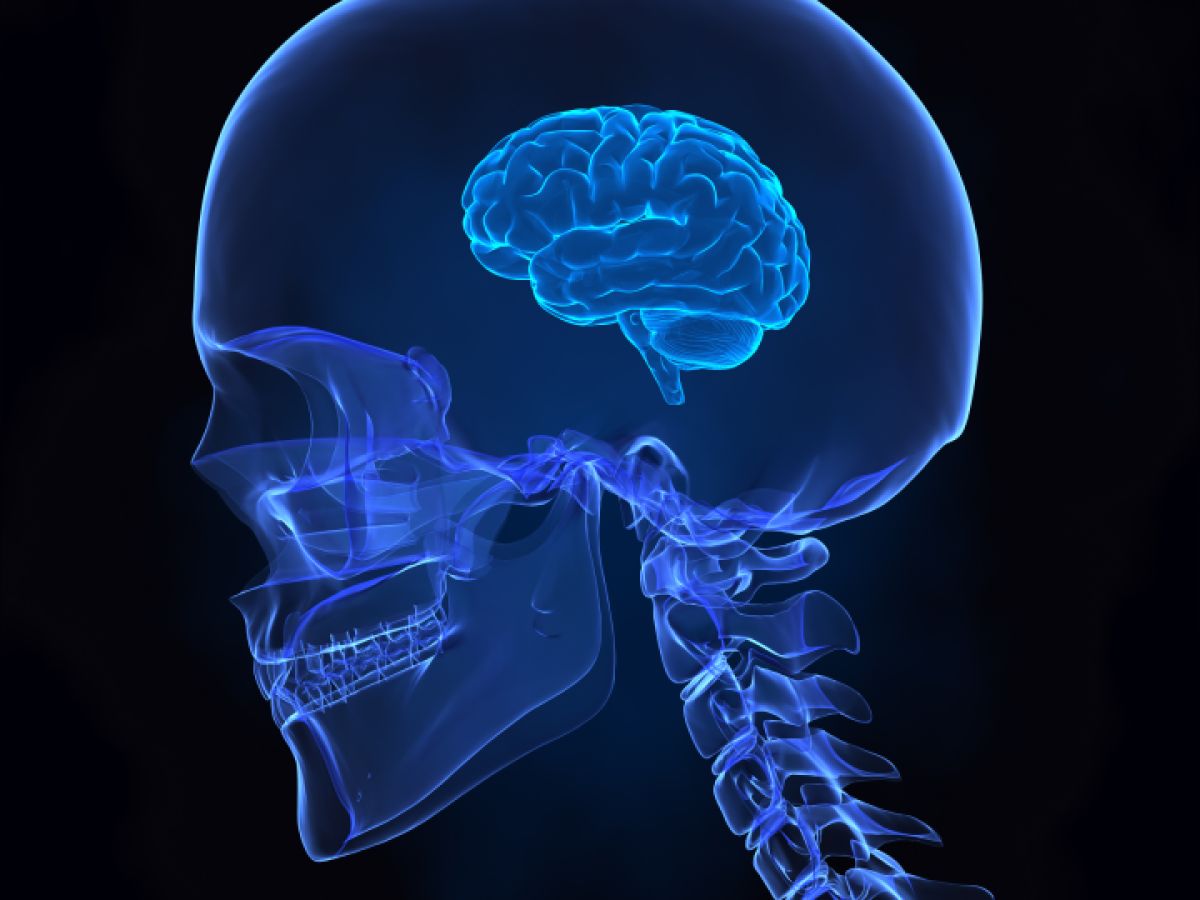 CLIPAREA%20l%20Custom%20media_BrainShrink_Shutterstock_0.jpg