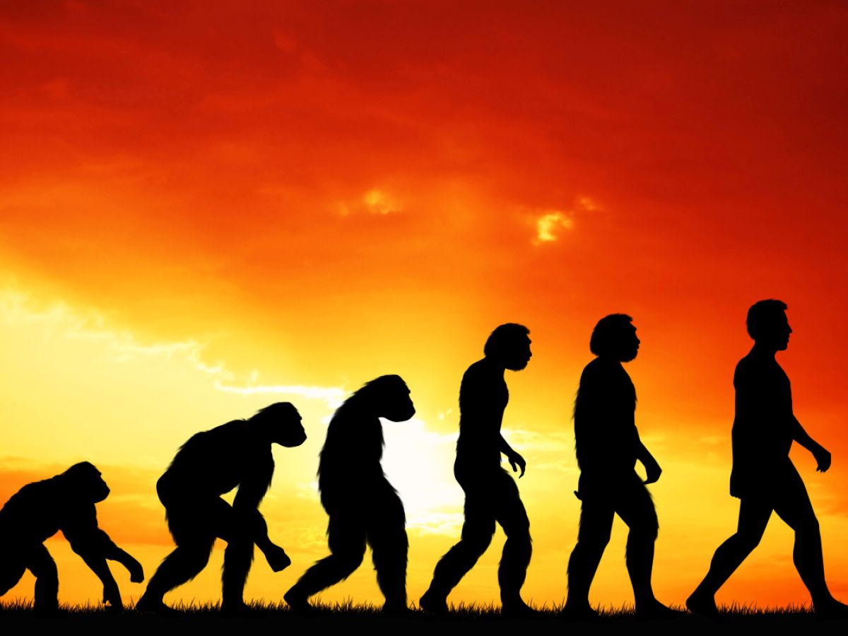 Human Evolution With Names