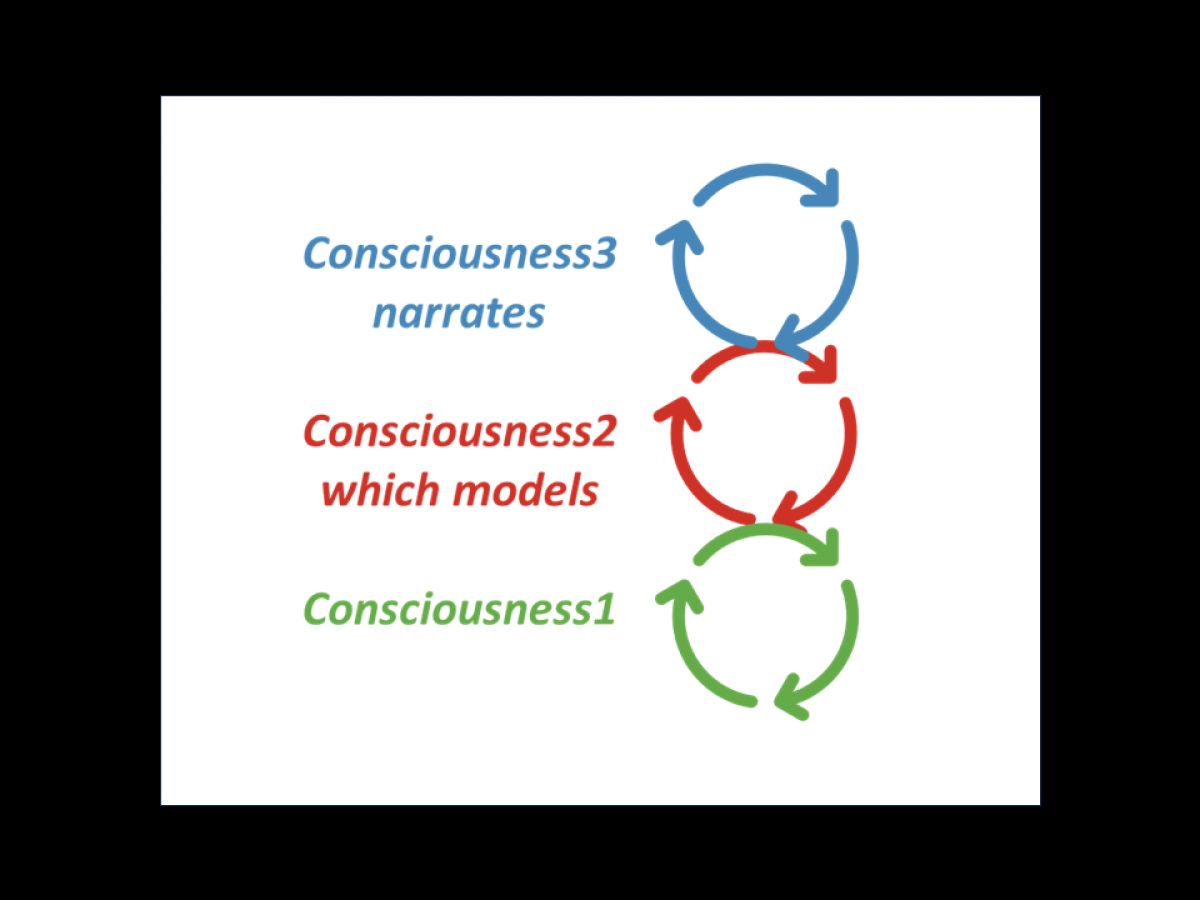 3 Levels Of Consciousness Examples