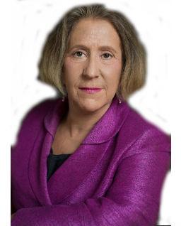 Barbara J. Risman Ph.D.